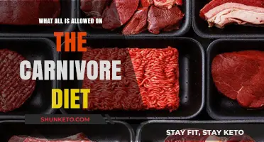 Carnivore Diet: What Foods Are Allowed?
