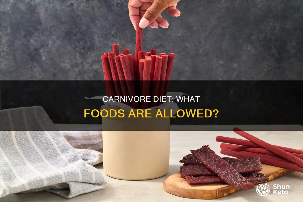 what all is allowed on the carnivore diet
