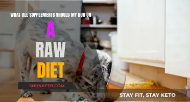 Raw Diet Dog Owners: Which Supplements Are Essential?