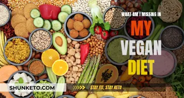 Vegan Diet: Am I Missing Out on Nutrition?