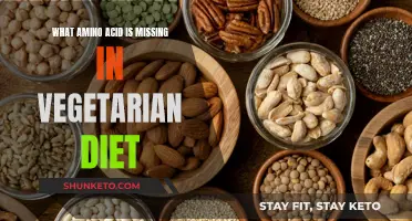 Vegetarian Diets: Essential Amino Acids Missing and How to Get Them
