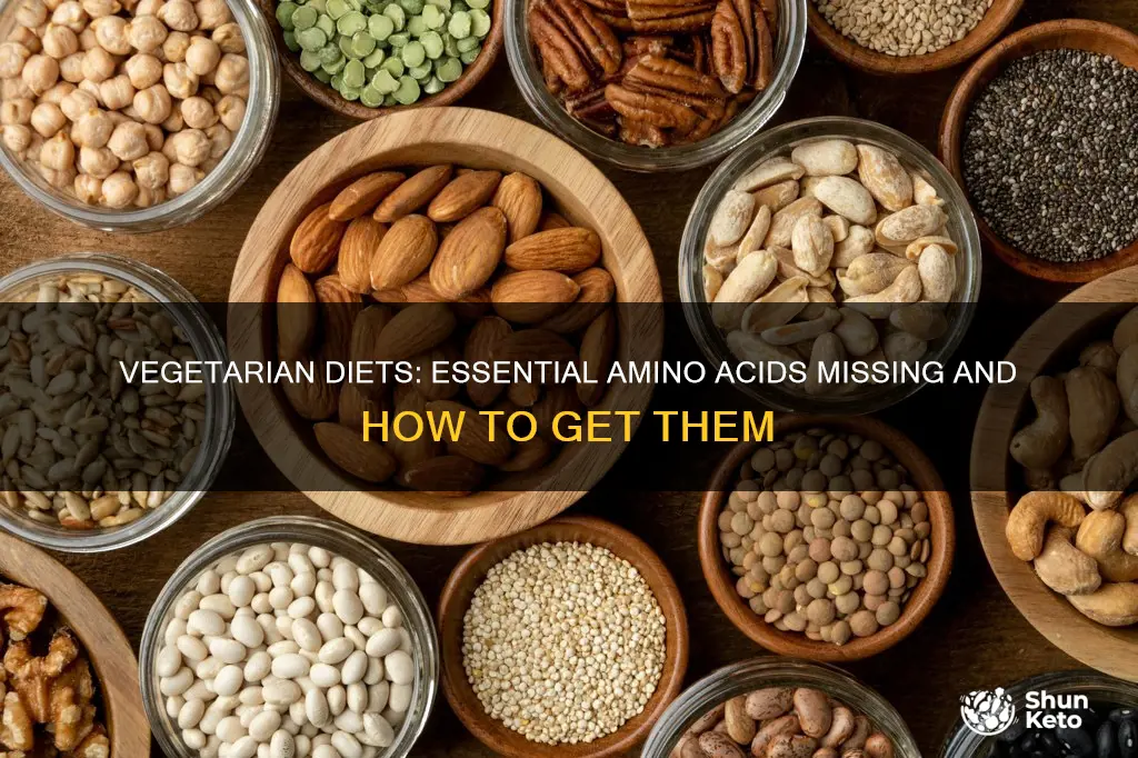 what amino acid is missing in vegetarian diet