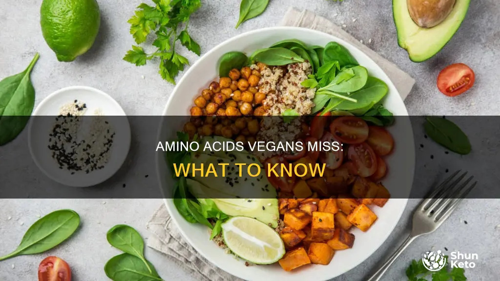 what amino acids are missing in a vegan diet