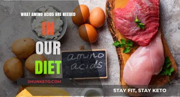 Amino Acids: Essential Dietary Requirements
