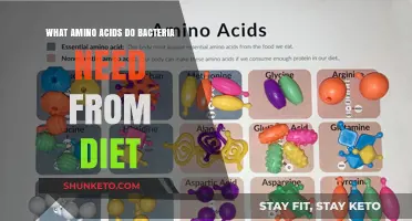 Amino Acids: Bacteria's Dietary Requirements