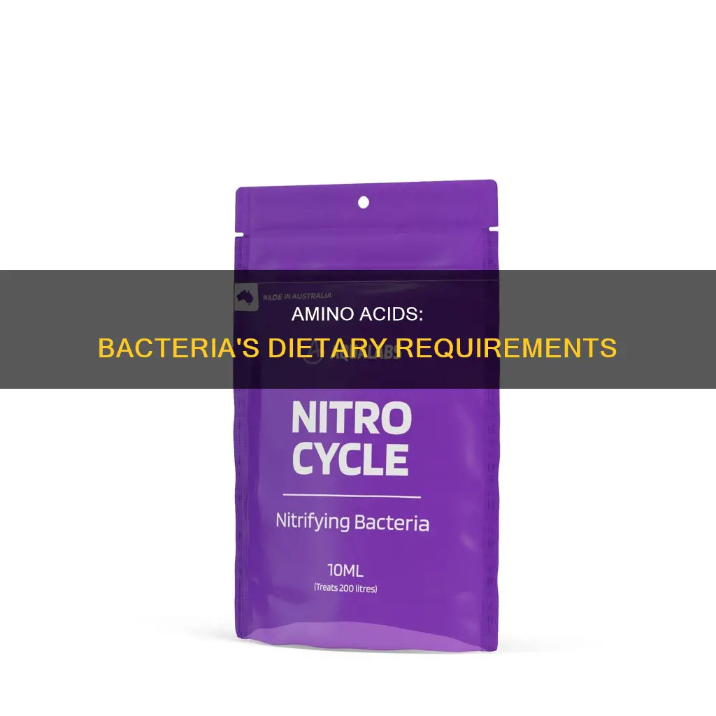 what amino acids do bacteria need from diet