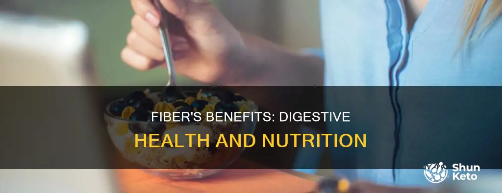 what are 2 reasons to add fiber to a diet