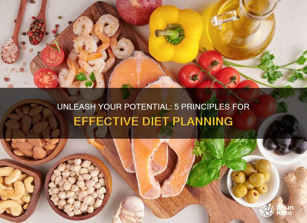 what are 5 key principles of diet planning