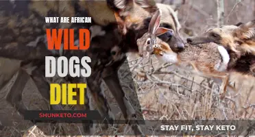 African Wild Dogs' Diet: What Do They Eat?