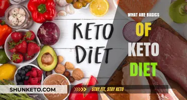 Understanding the Keto Diet: Essential Basics for Beginners