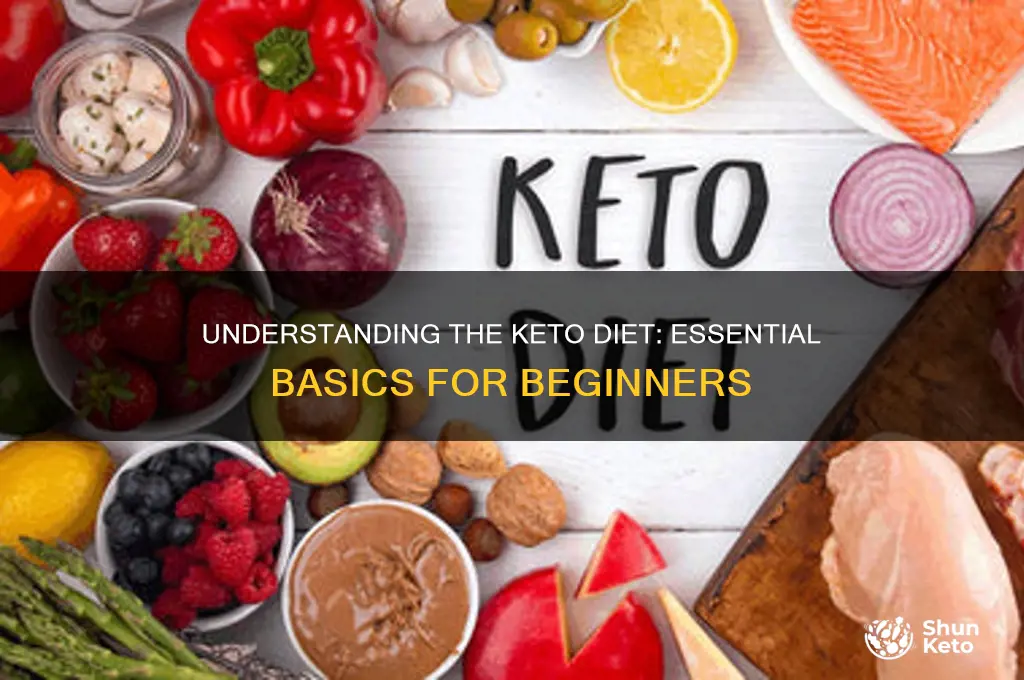 what are basics of keto diet