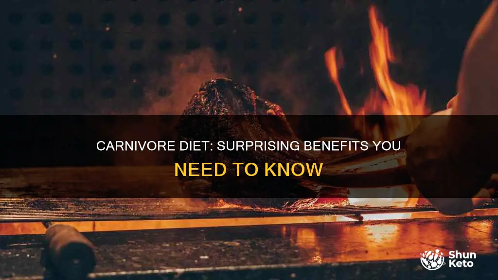 what are benefits of carnivore diet