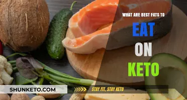 Healthy Fats for Keto: Top Choices to Fuel Your Diet