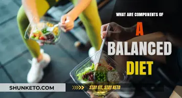 Building Blocks of a Balanced Diet