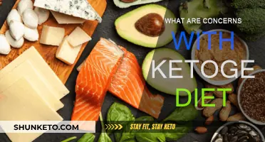 Concerns and Risks of the Ketogenic Diet