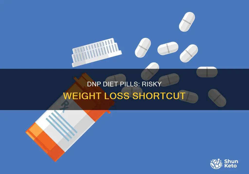 what are dnp diet pills