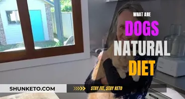 Dogs' Natural Diet: What Should They Eat?
