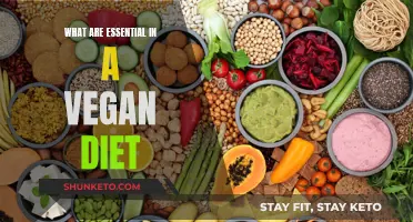 Vegan Diet: Essential Nutrients You Need to Know