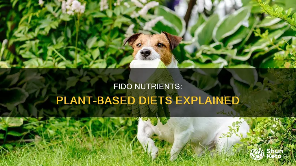 what are fido nutrients in plant based diets