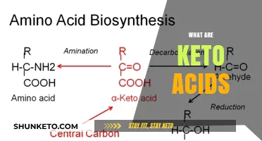Understanding Keto Acids: Essential Role in Metabolism and Ketogenic Diets