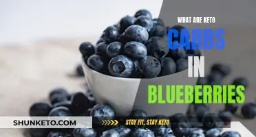 Blueberries and Keto: Carb Counts and Benefits