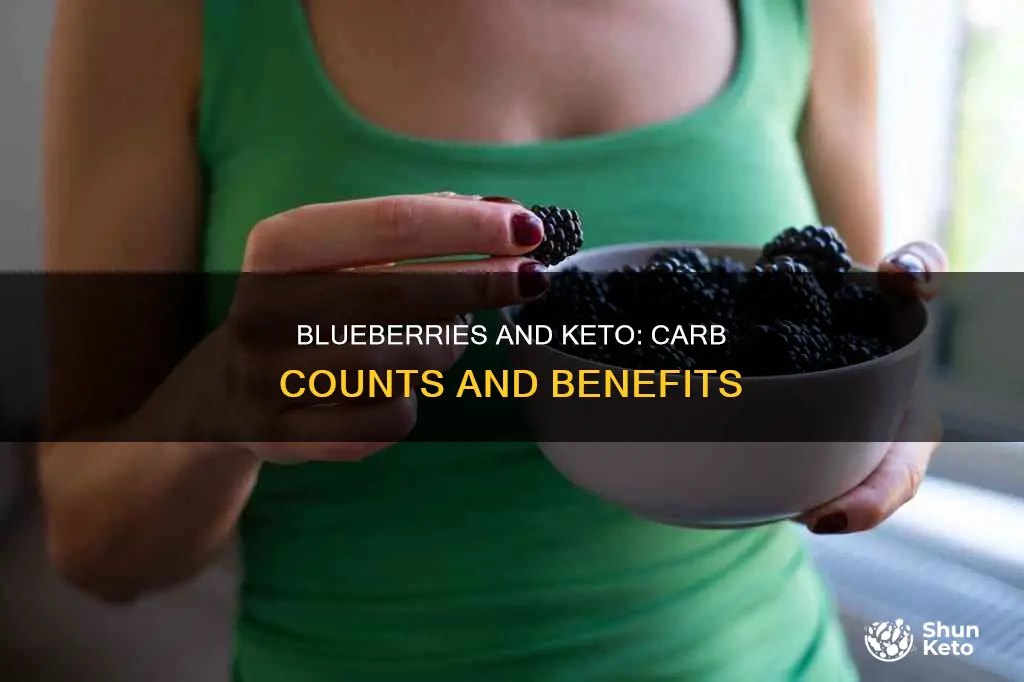 what are keto carbs in blueberries