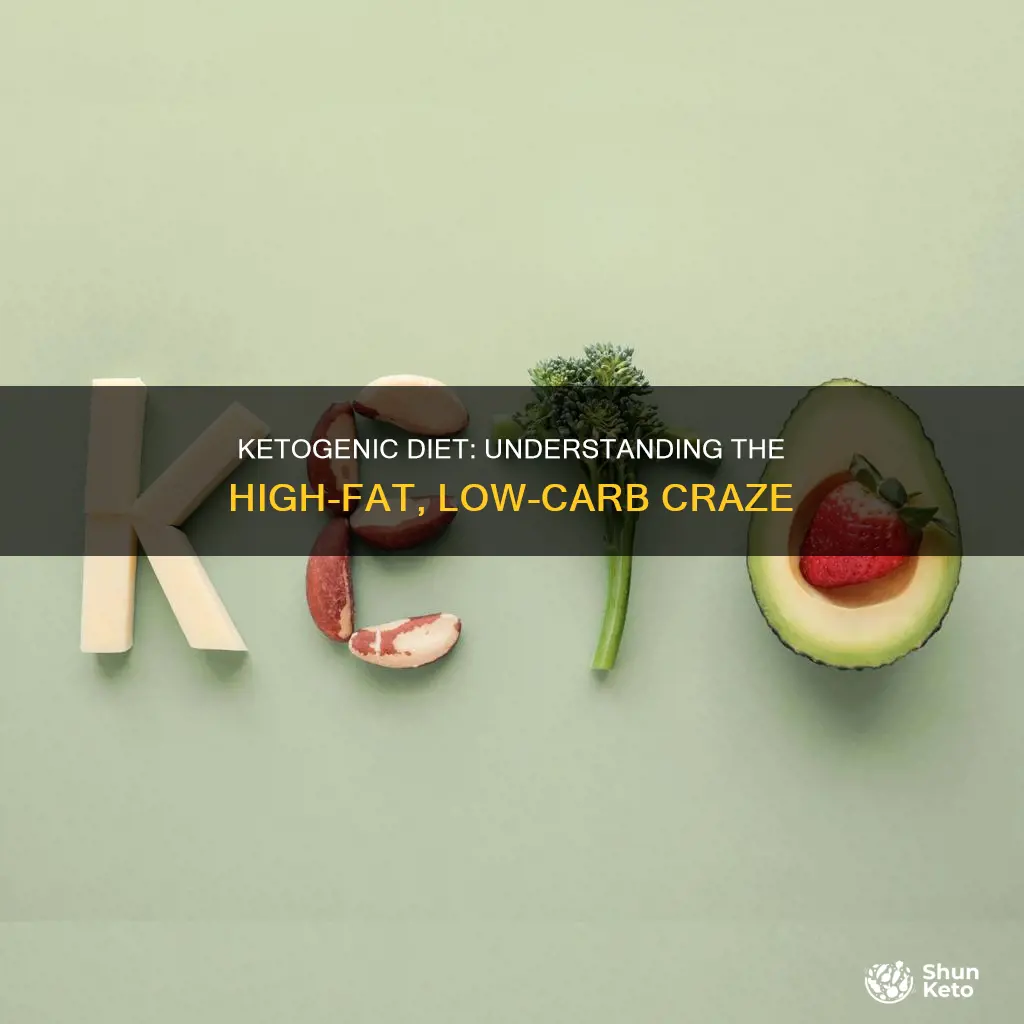 what are ketogenic diet