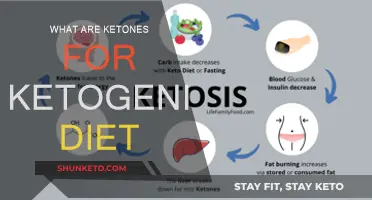 Ketones: Ketogenic Diet's Secret Weapon