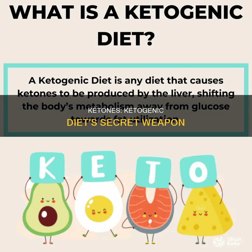 what are ketones for ketogenic diet