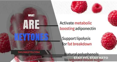 Understanding Ketones: Essential Insights into Their Role and Benefits