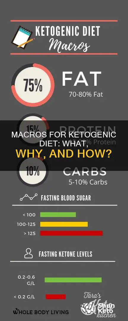 what are macros on ketogenic diet