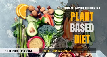 Plant-Based Diet: What Essential Nutrients Are Missing?