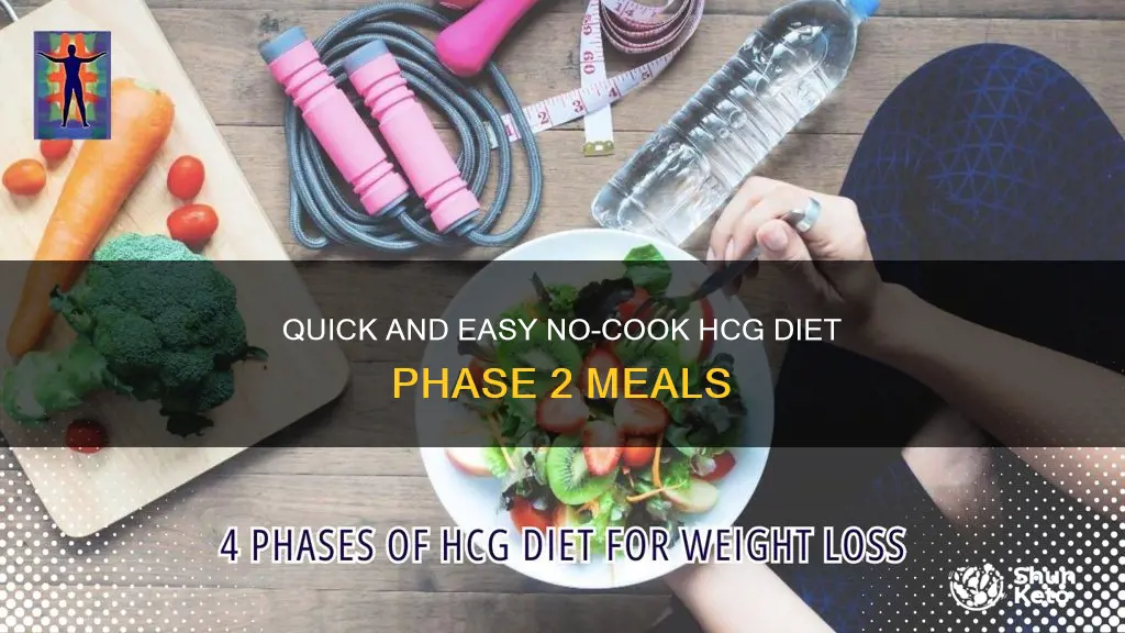 what are no cook options for hcg diet phase 2