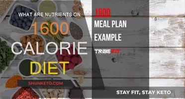 Calorie Counting: Understanding Nutrient Needs on a 1600-Calorie Diet