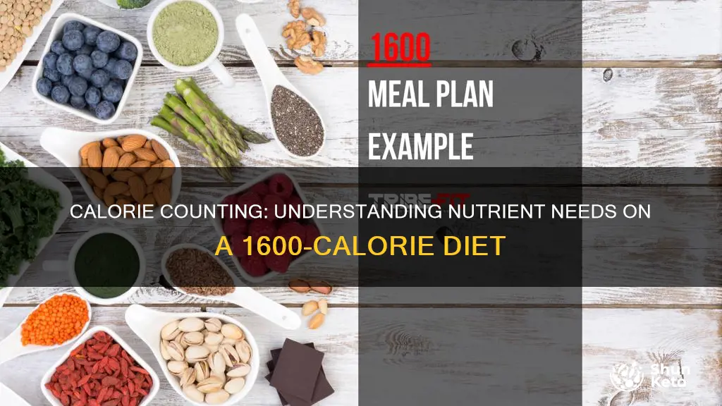 what are nutrients on 1600 calorie diet