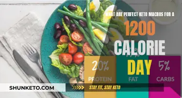 Keto Macros for a 1200-Calorie Day: The Perfect Balance