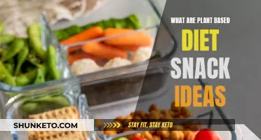 Plant-Based Diet Snacking: Healthy and Delicious Ideas