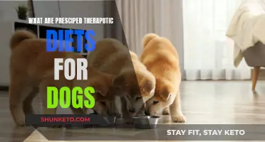 Therapeutic Diets for Dogs: Prescribed Food, Healthy Pets