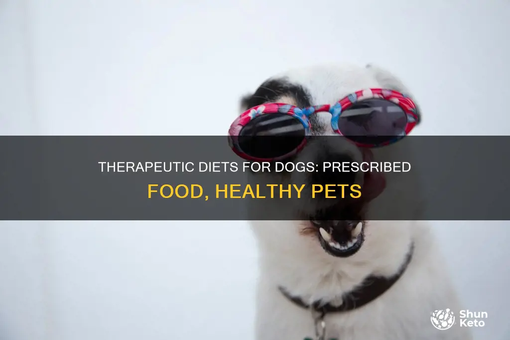 what are presciped theraputic diets for dogs