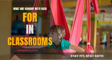 Sensory Diets: Enhancing Classroom Focus and Learning