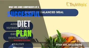 Unveiling the Secrets: Key Components for a Winning Diet Plan