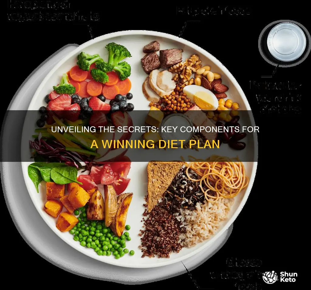 what are some components of a successful diet plan