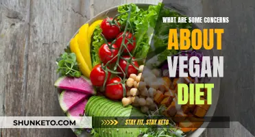 Vegan Diet: Concerns and Considerations for Health