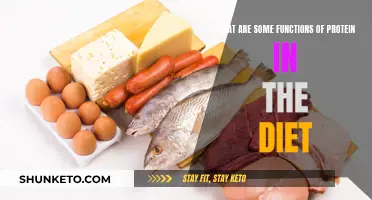 Protein Power: Functions in Diet and Health