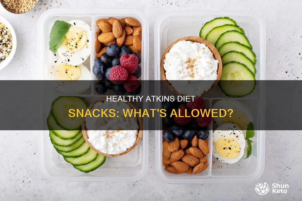 what are some kind of snacks allowed on atkins diet