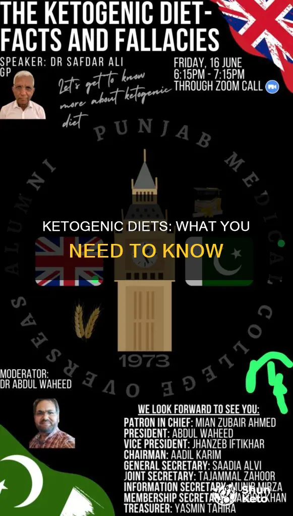 what are some major facts to ketogenic diets