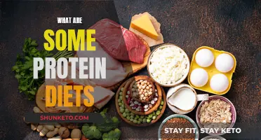 Protein Diets: Healthy Options for Your Daily Meals