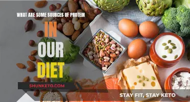Protein-rich Foods: Sources and Benefits
