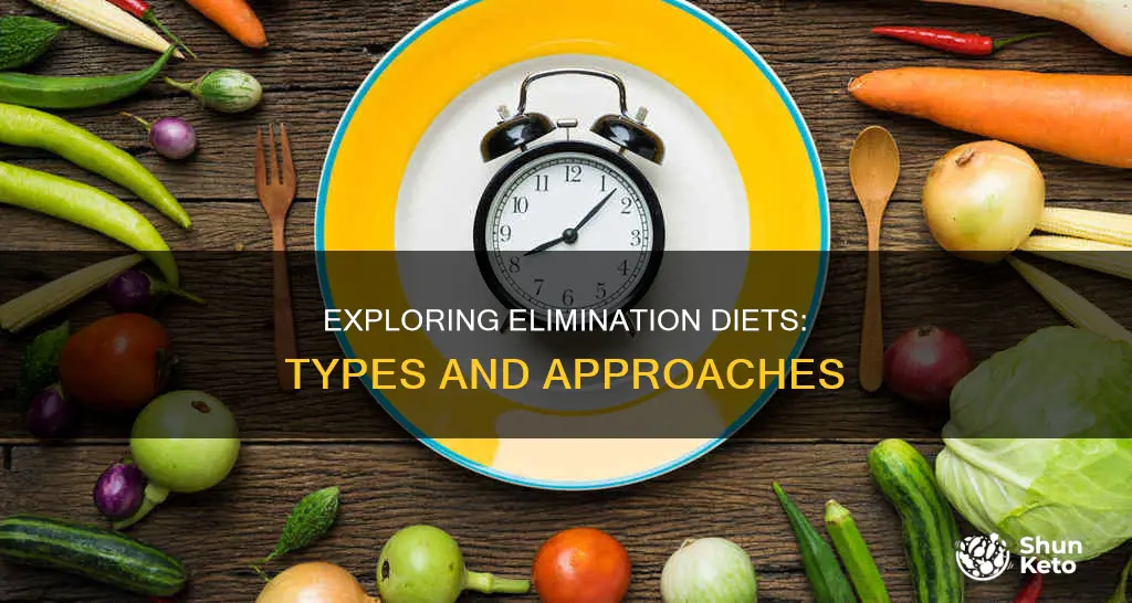 what are some types of elimination diets