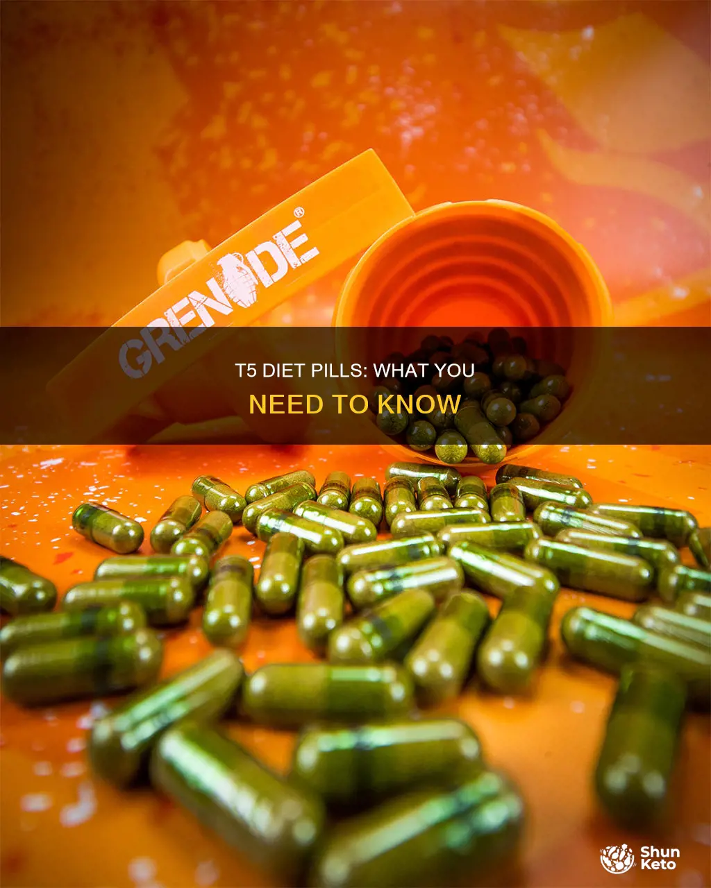 what are t5 diet pills